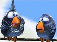 Девушка Мультфильмы birds, птицы, небо обои рабочий стол